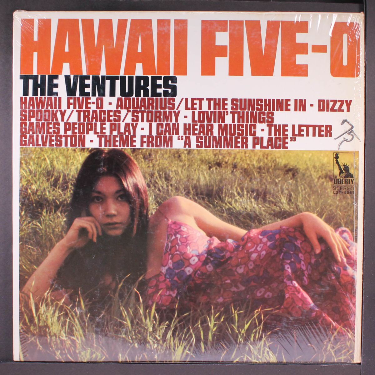 hawaii five-0 by VENTURES