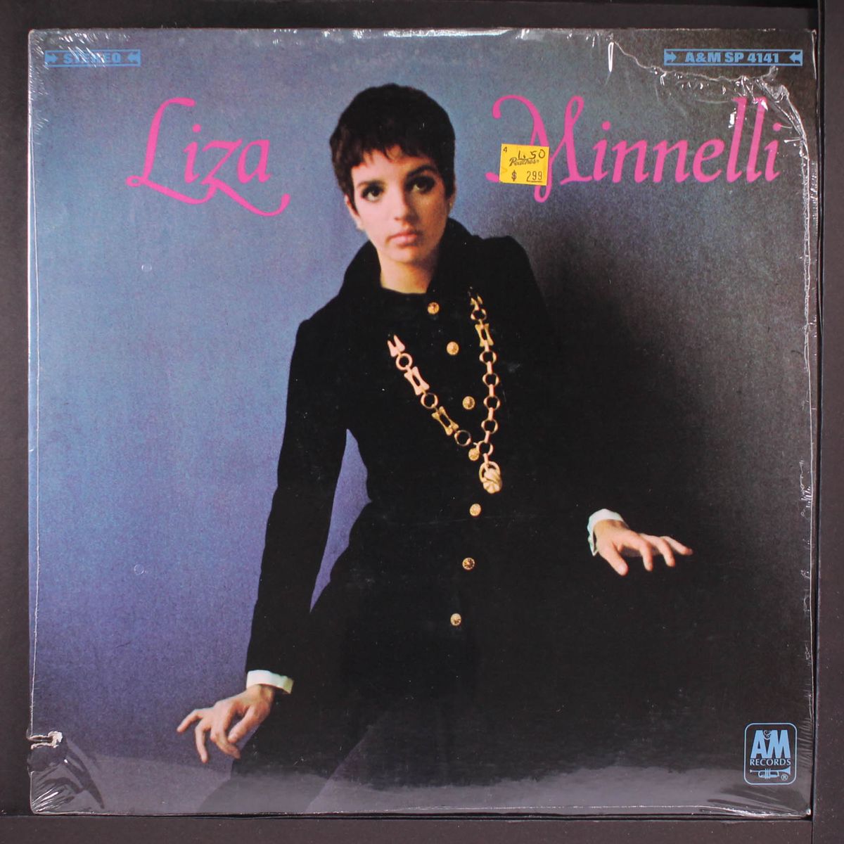 liza minnelli by LIZA MINNELLI