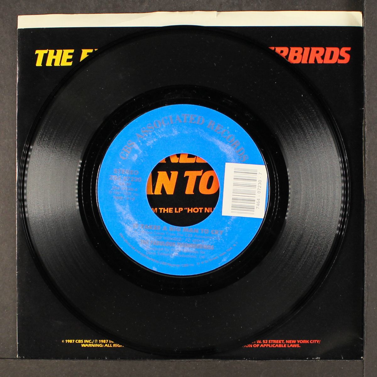 stand back by FABULOUS THUNDERBIRDS