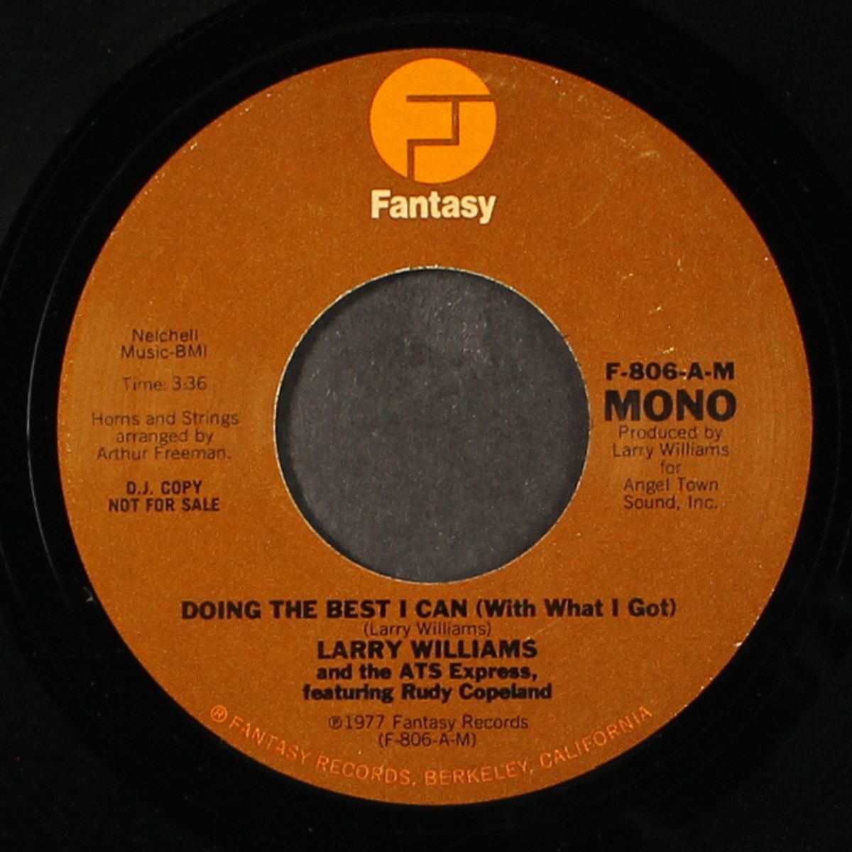 doing the best i can (with what i got) / mono by LARRY WILLIAMS