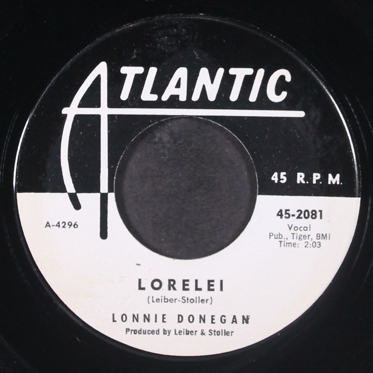 junco partner by LONNIE DONEGAN