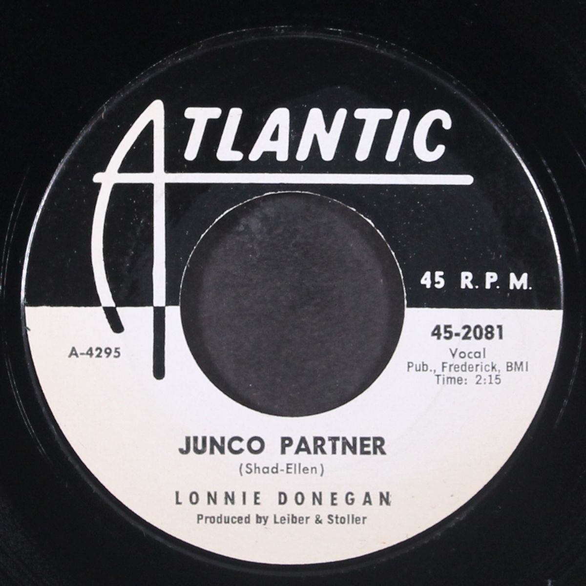 junco partner by LONNIE DONEGAN