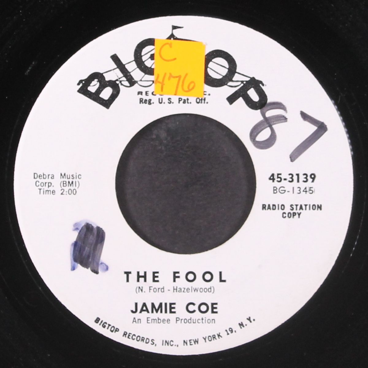 the fool by JAMIE COE