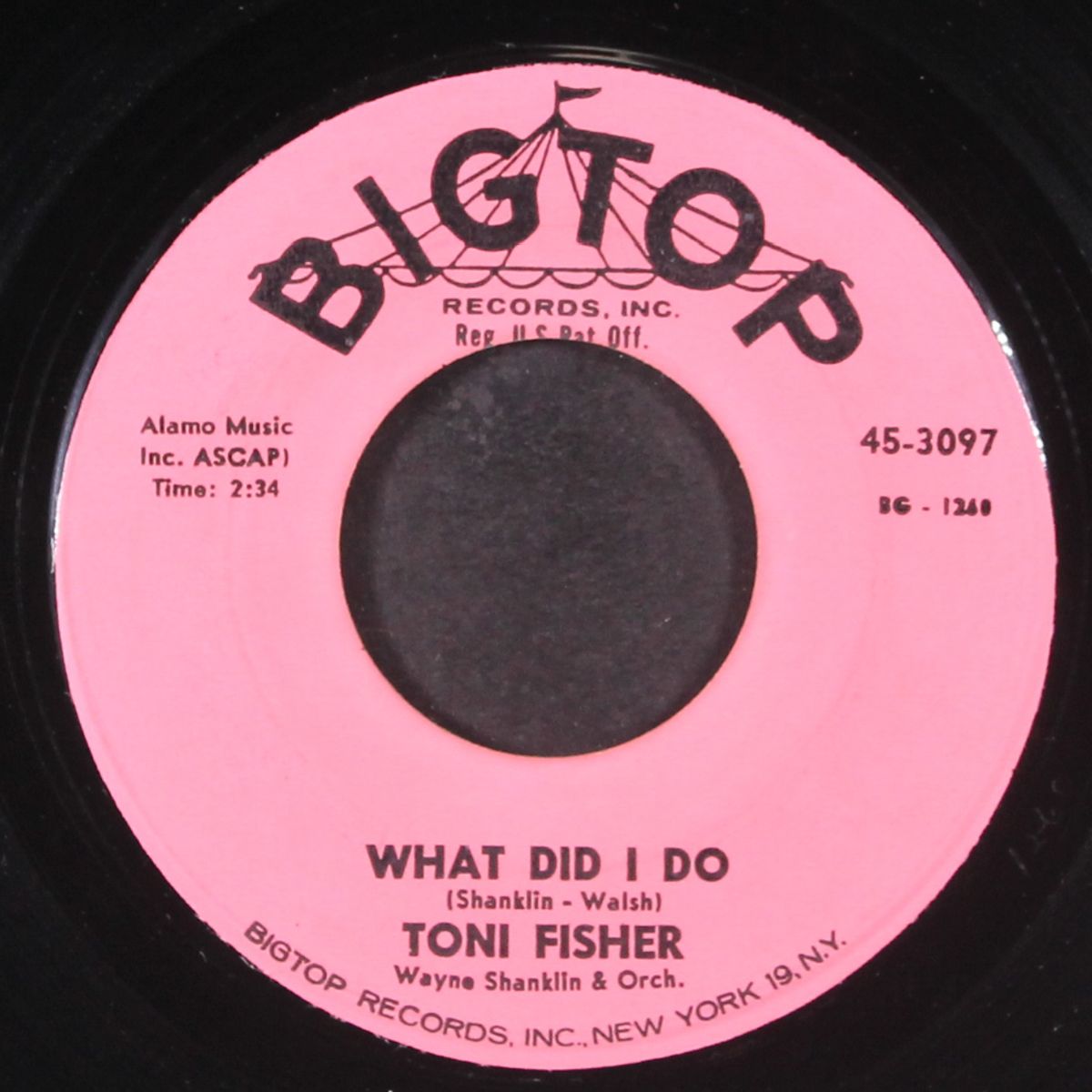 west of the wall / what did i do by TONI FISHER