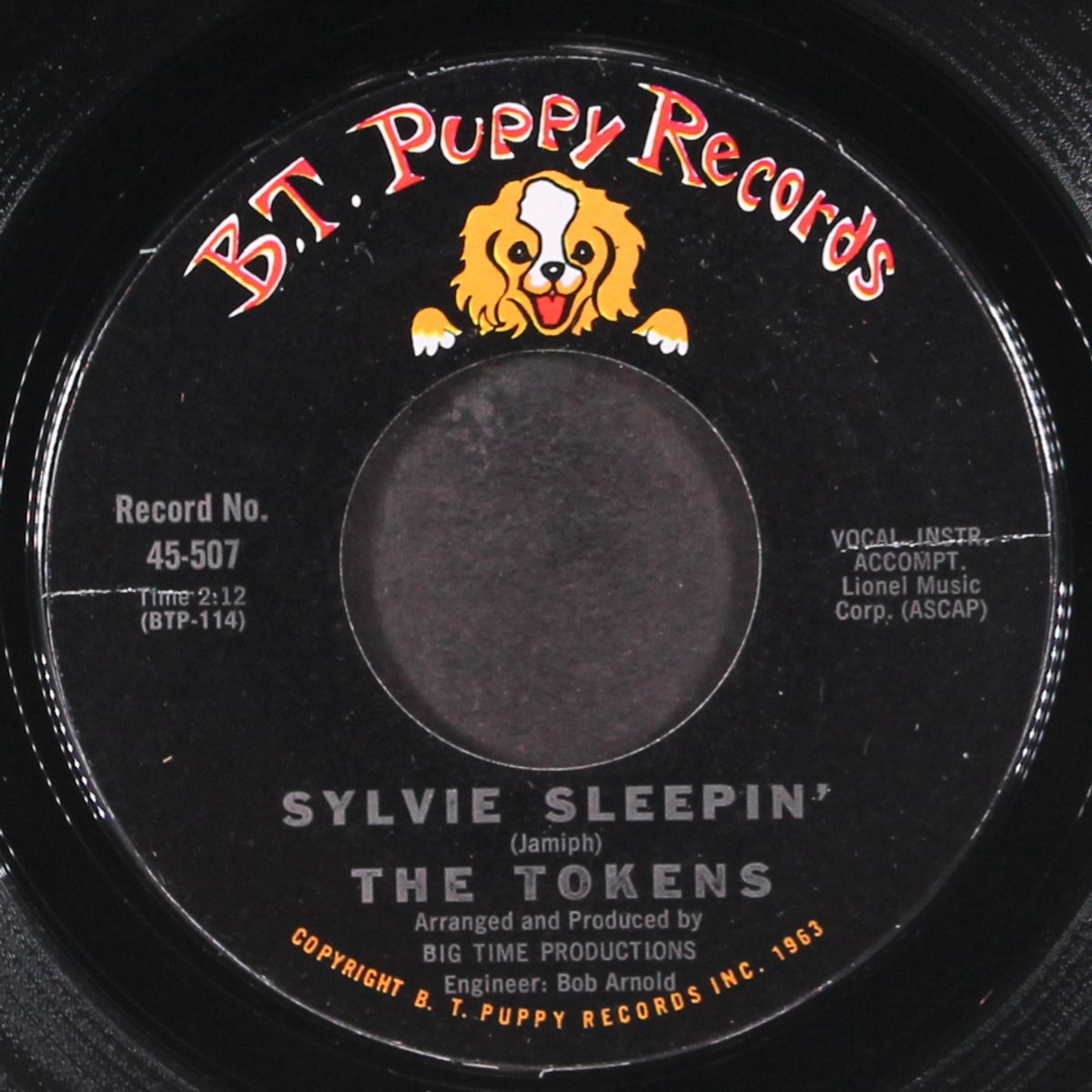 sylvie sleepin' / a message to the world by TOKENS