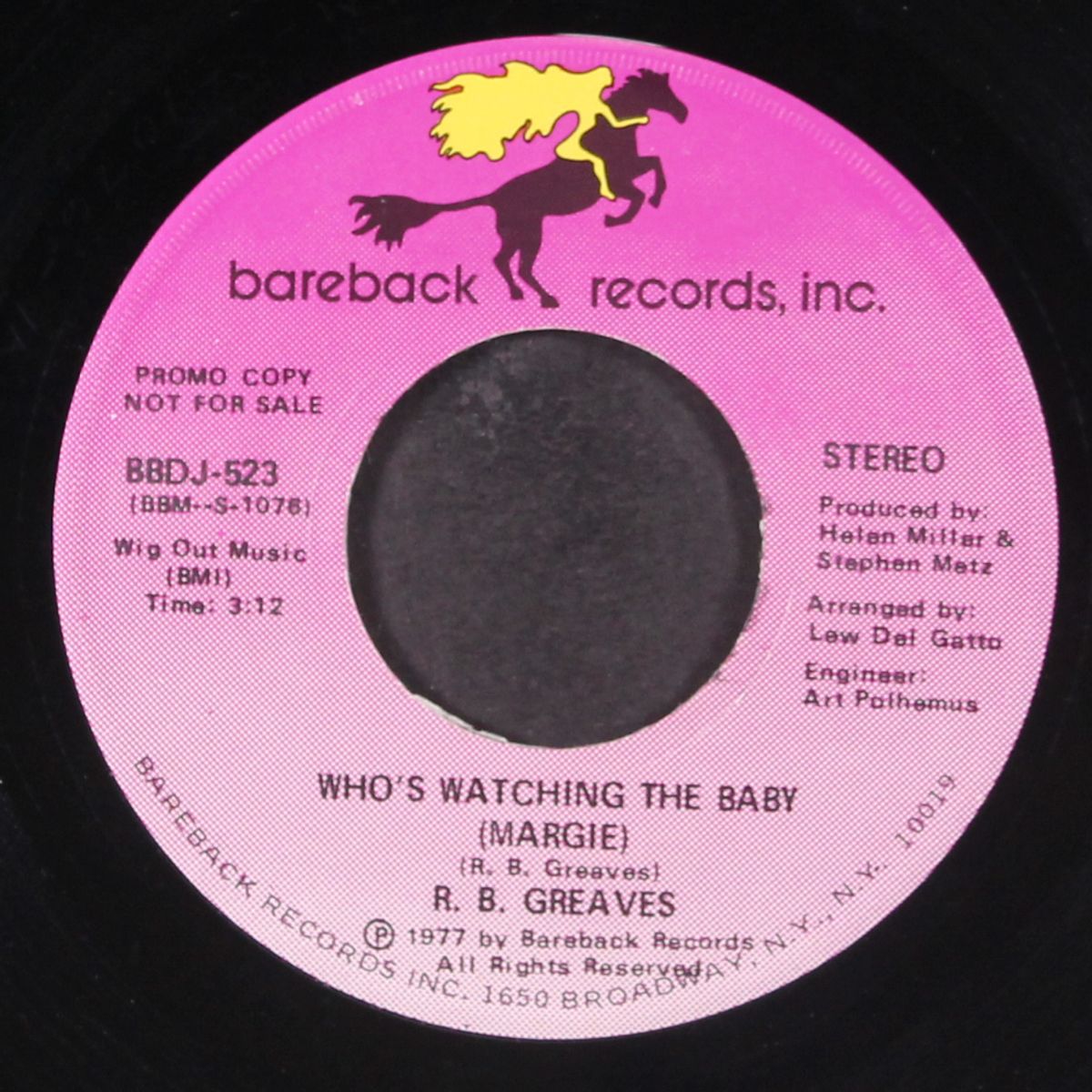 who's watching the baby / mono by R.B. GREAVES