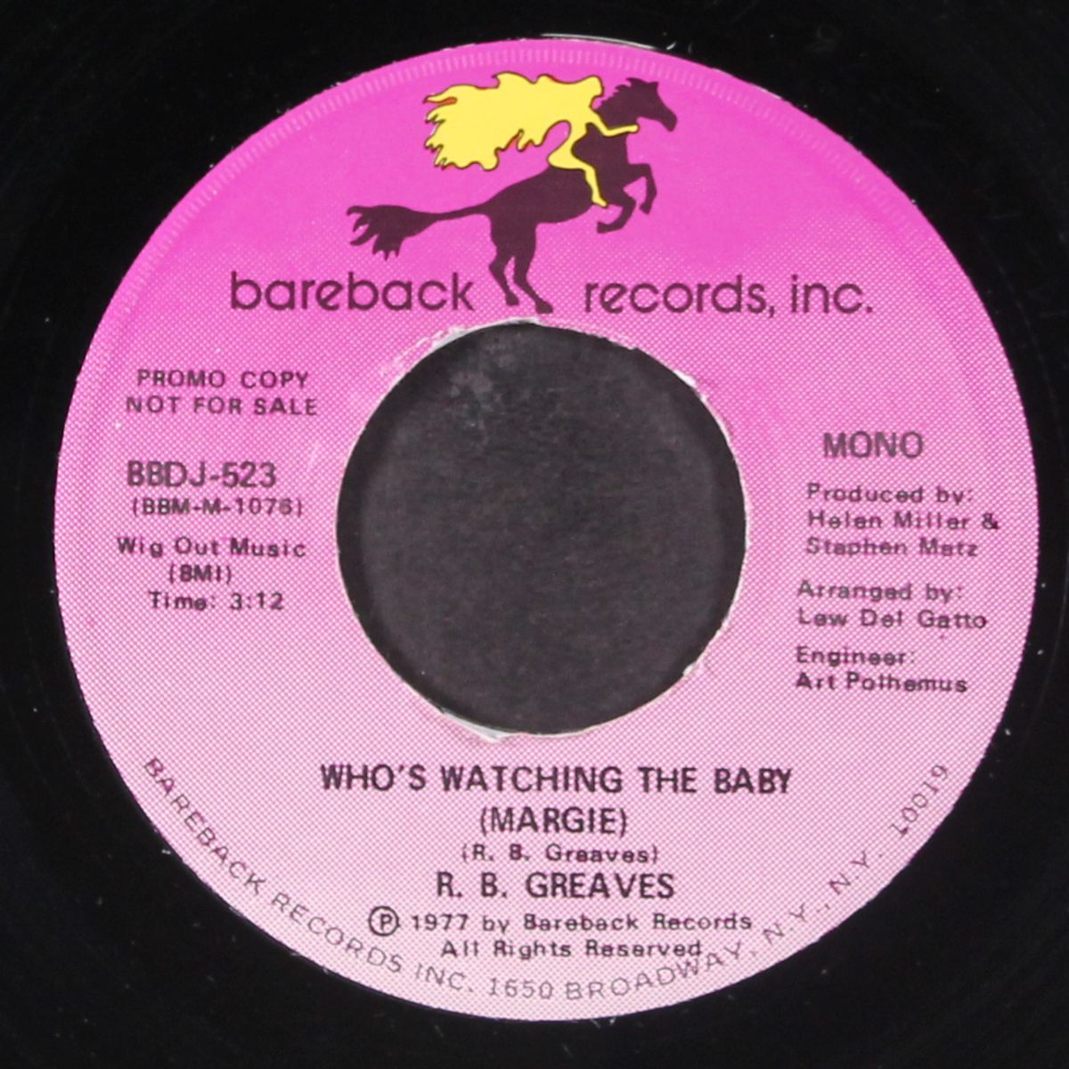 who's watching the baby / mono by R.B. GREAVES