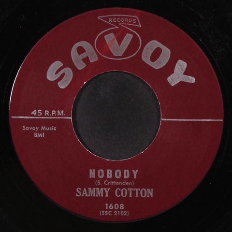SAMMY COTTON