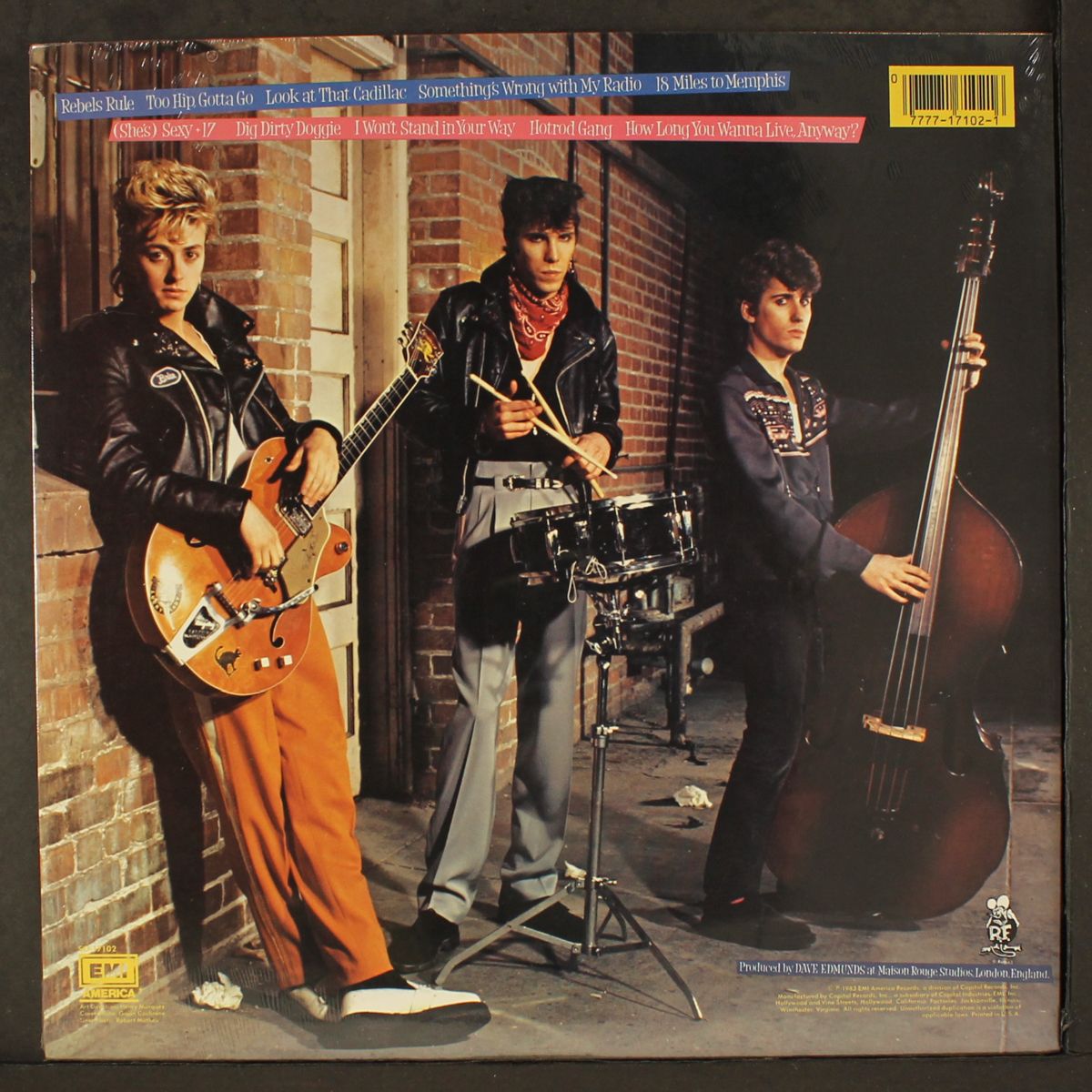 rant n' rave with the stray cats by STRAY CATS
