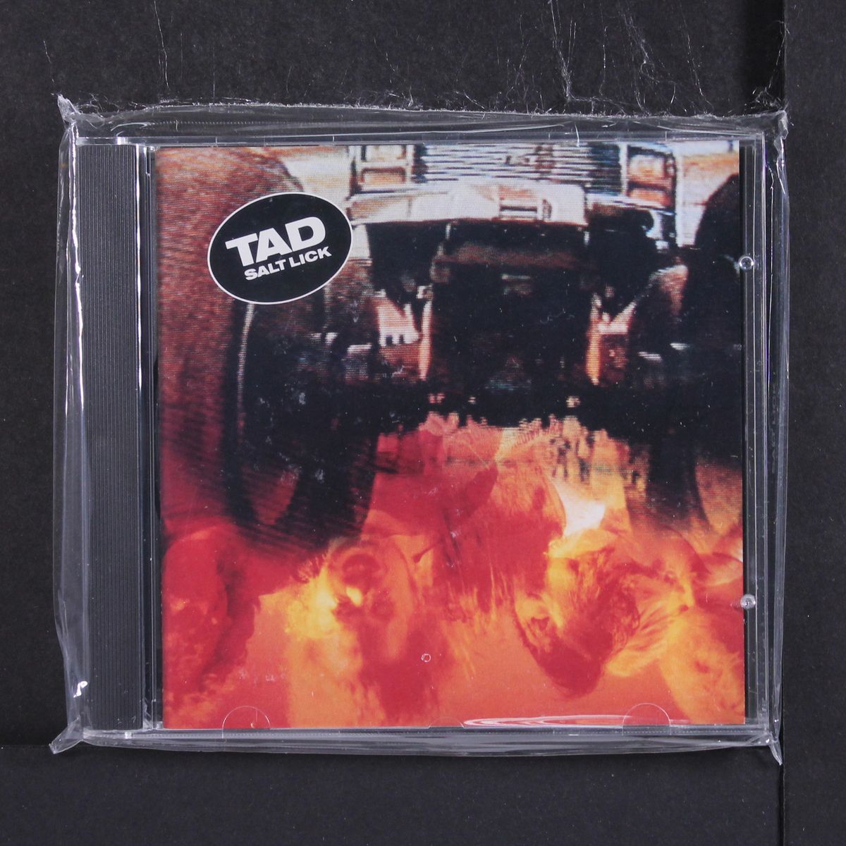 salt lick by TAD