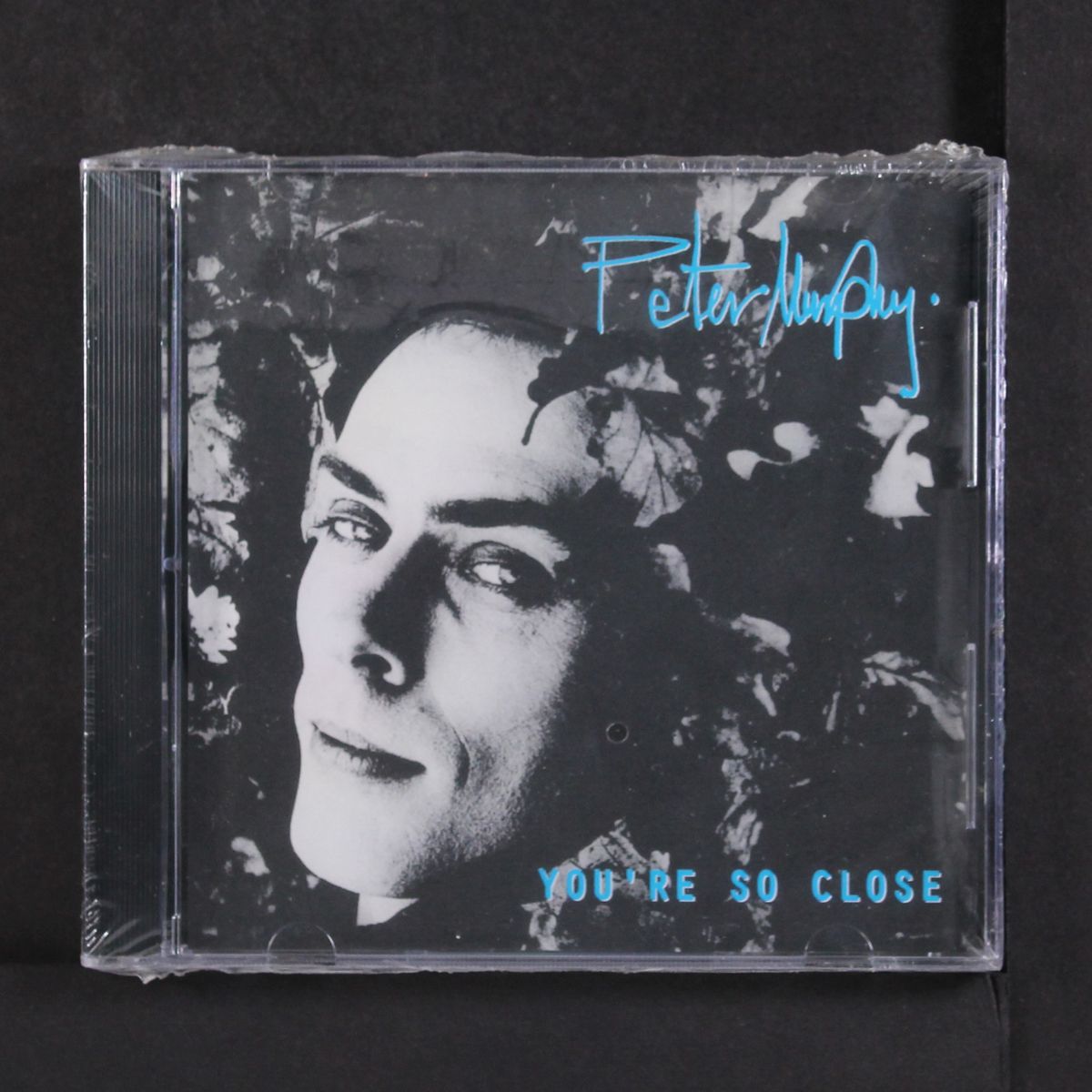 you're so close by PETER MURPHY