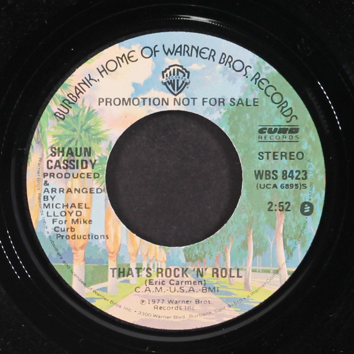 that's rock n' roll by SHAUN CASSIDY