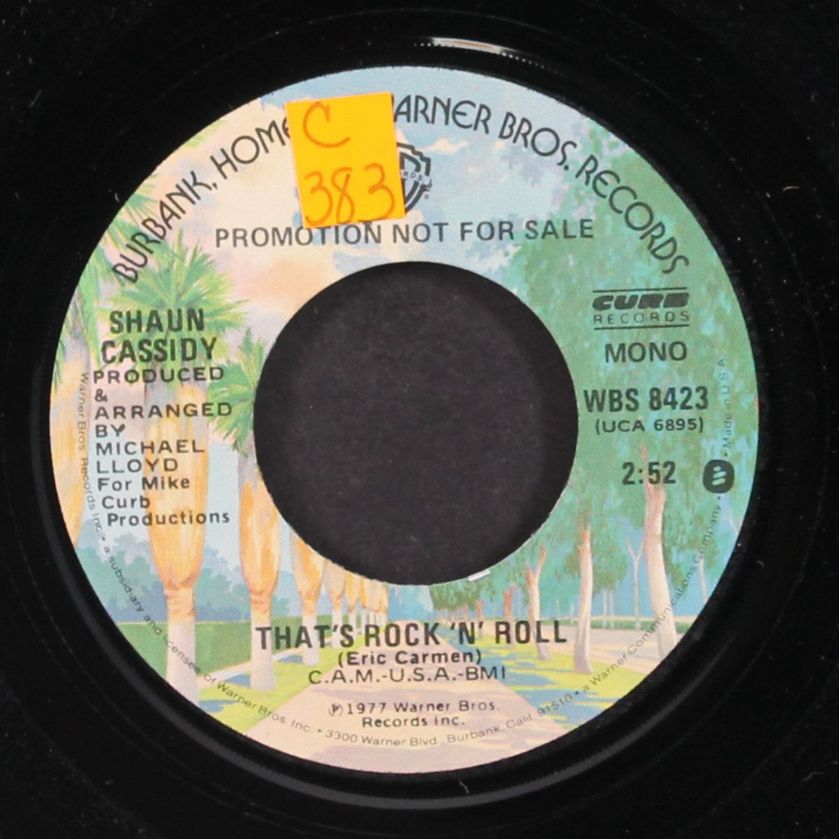 that's rock n' roll by SHAUN CASSIDY