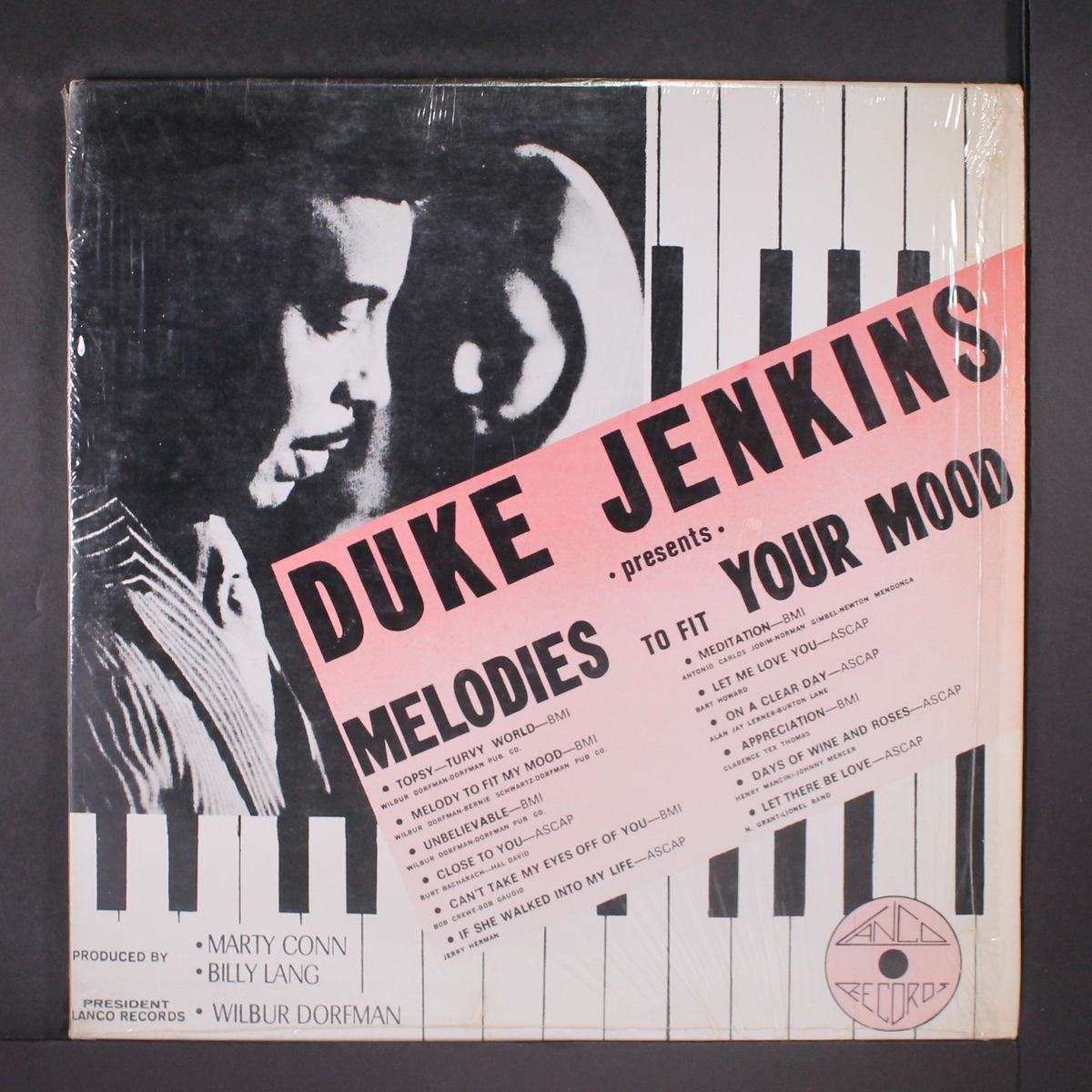 melodies to fit your mood by DUKE JENKINS