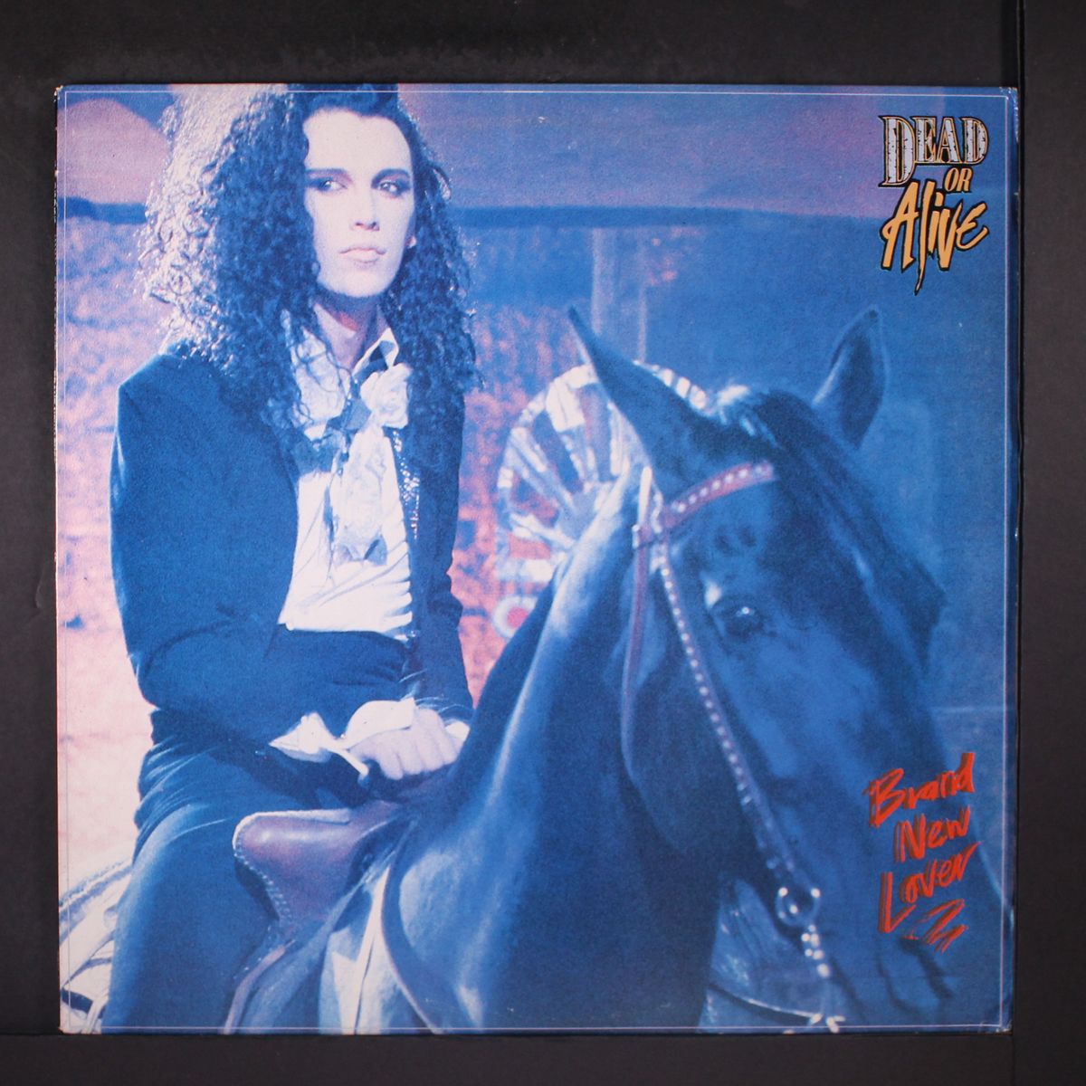 brand new lover by DEAD OR ALIVE