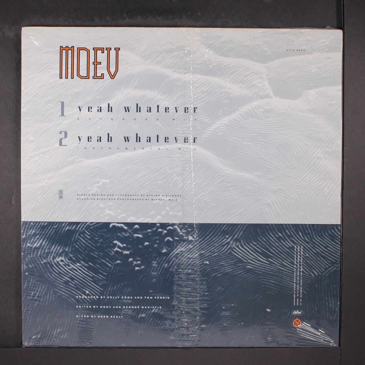 yeah whatever by MOEV