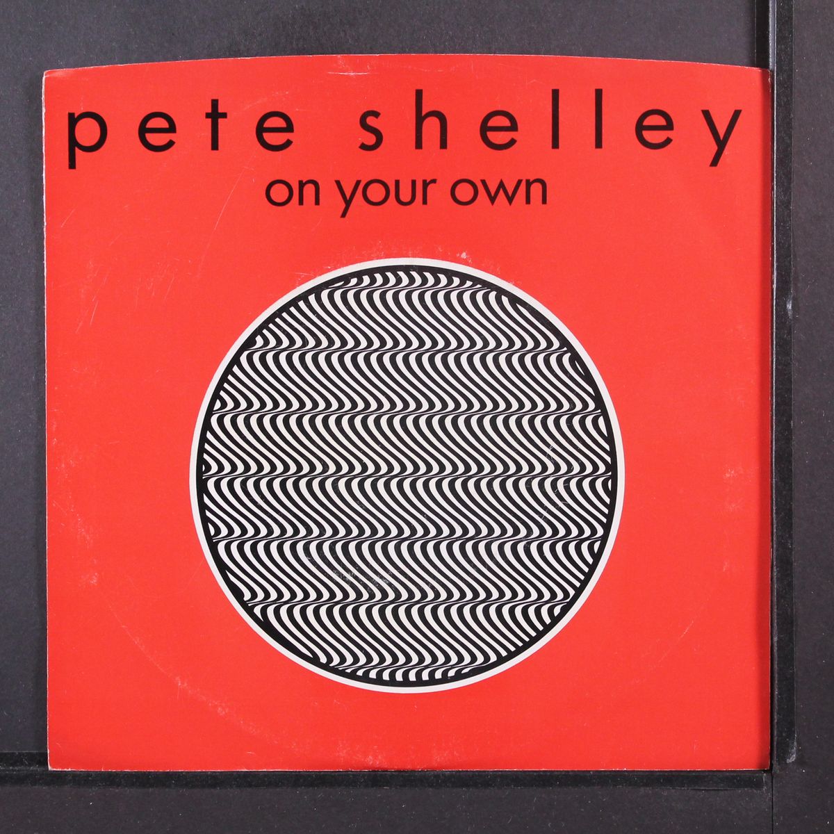 on your own / same by PETE SHELLEY