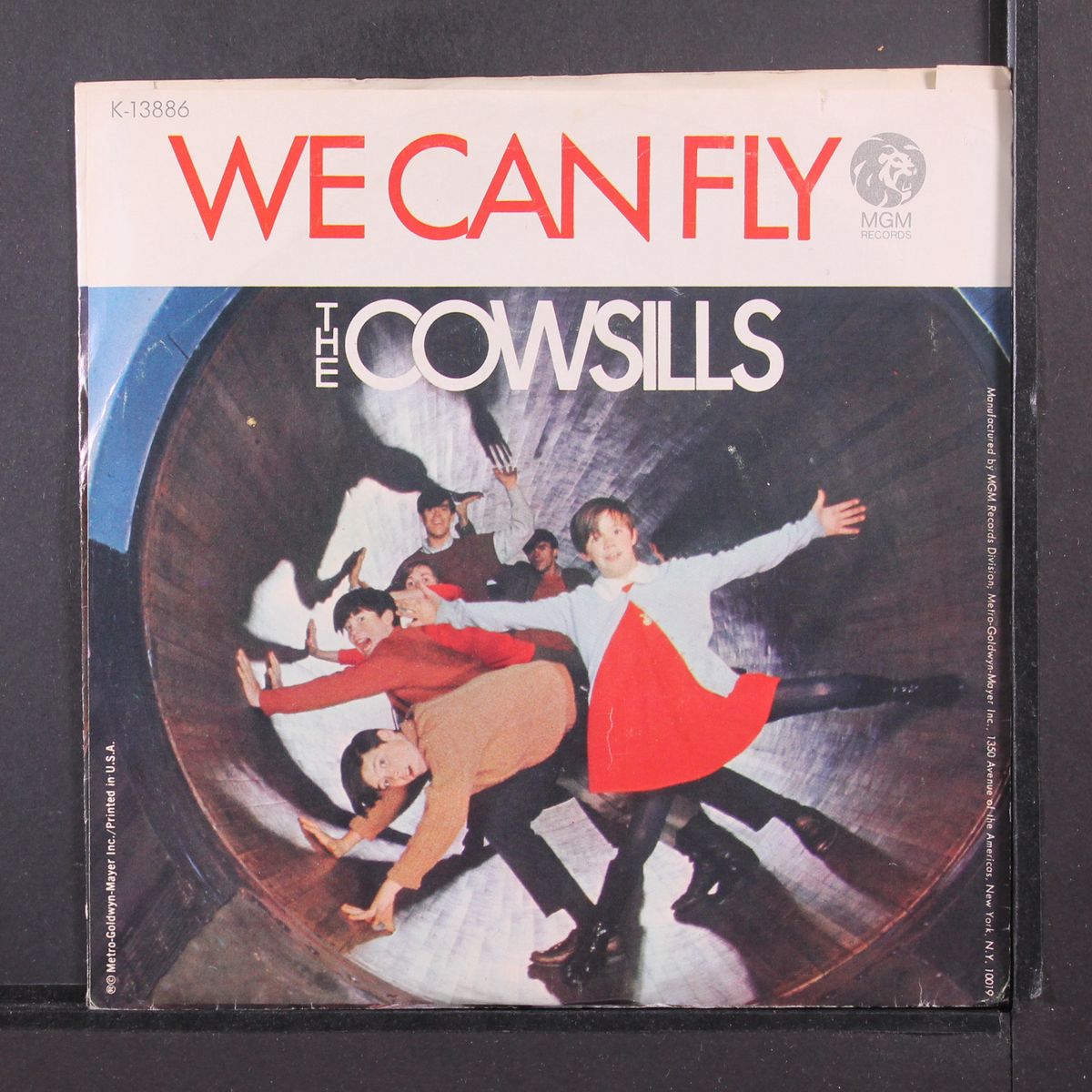 we can fly by COWSILLS