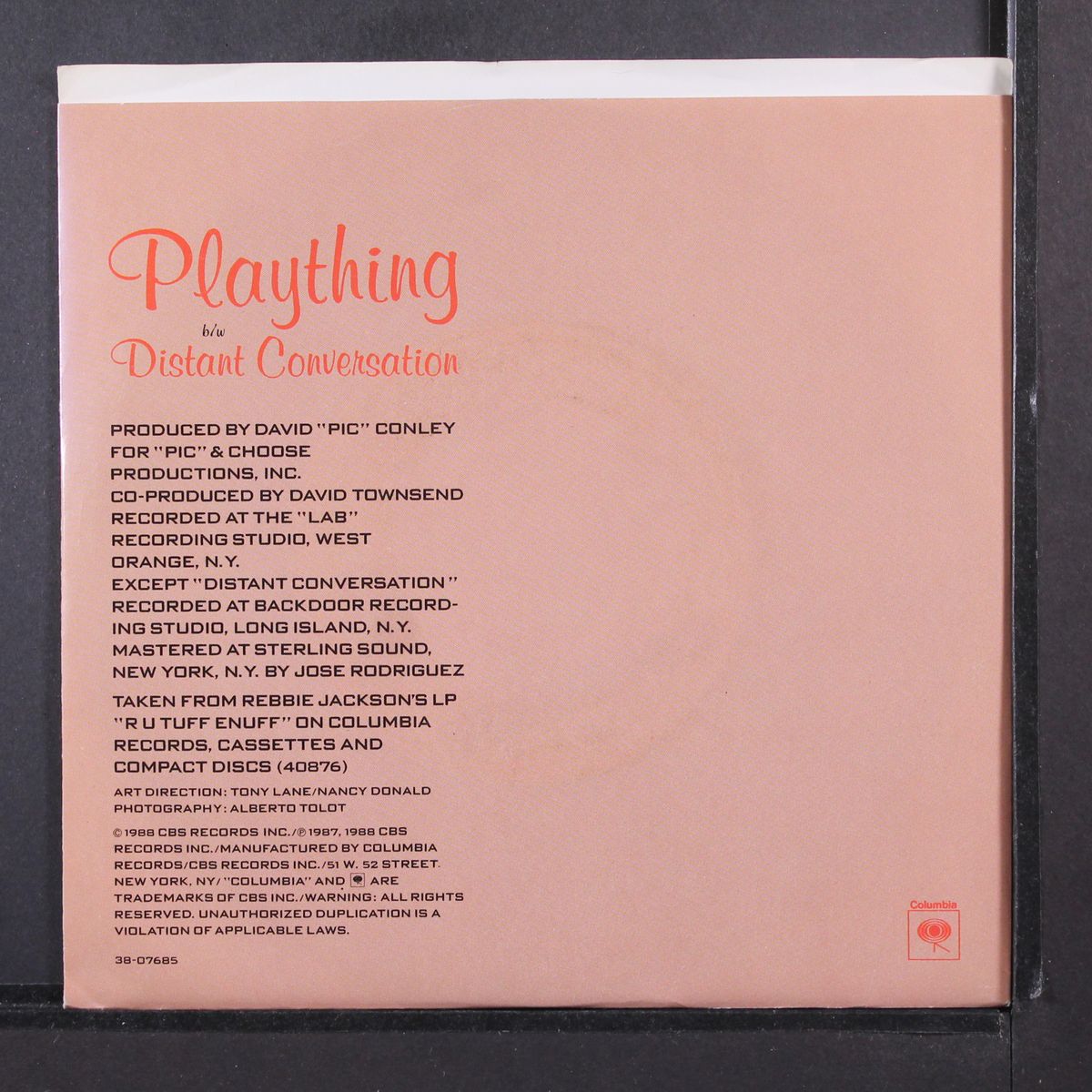 plaything / same by REBBIE JACKSON