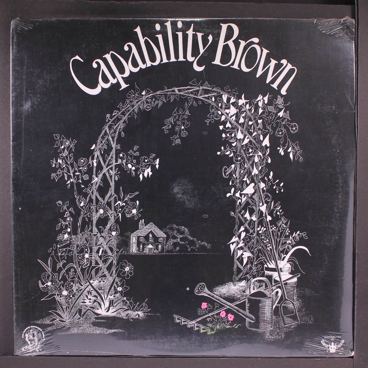 scratching the surface by CAPABILITY BROWN