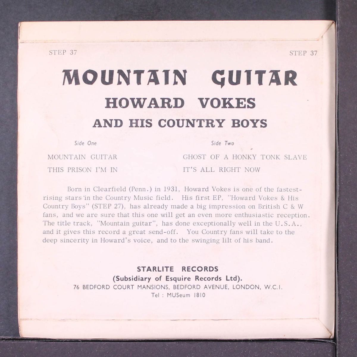 mountain guitar by HOWARD VOKES