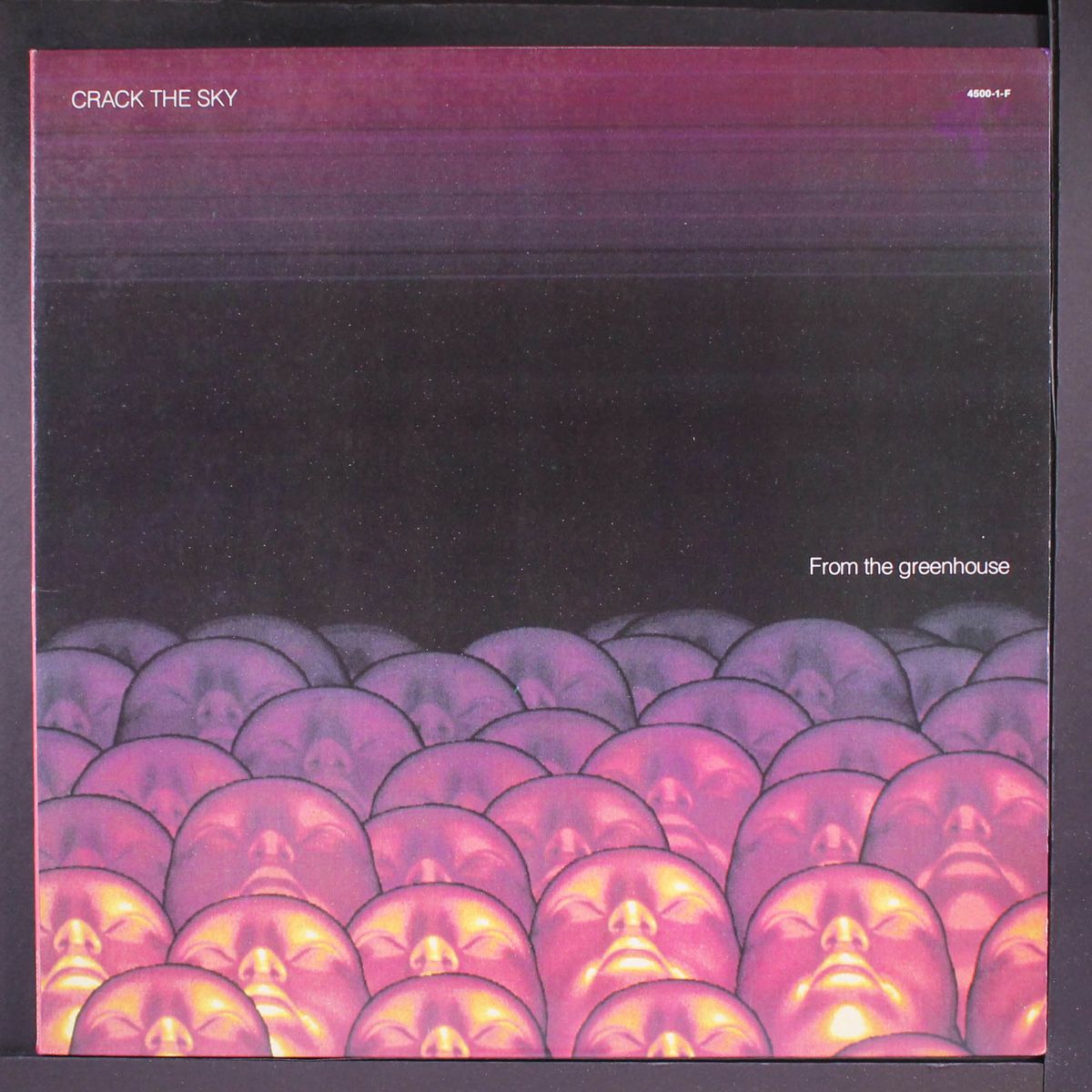 from the greenhouse by CRACK THE SKY