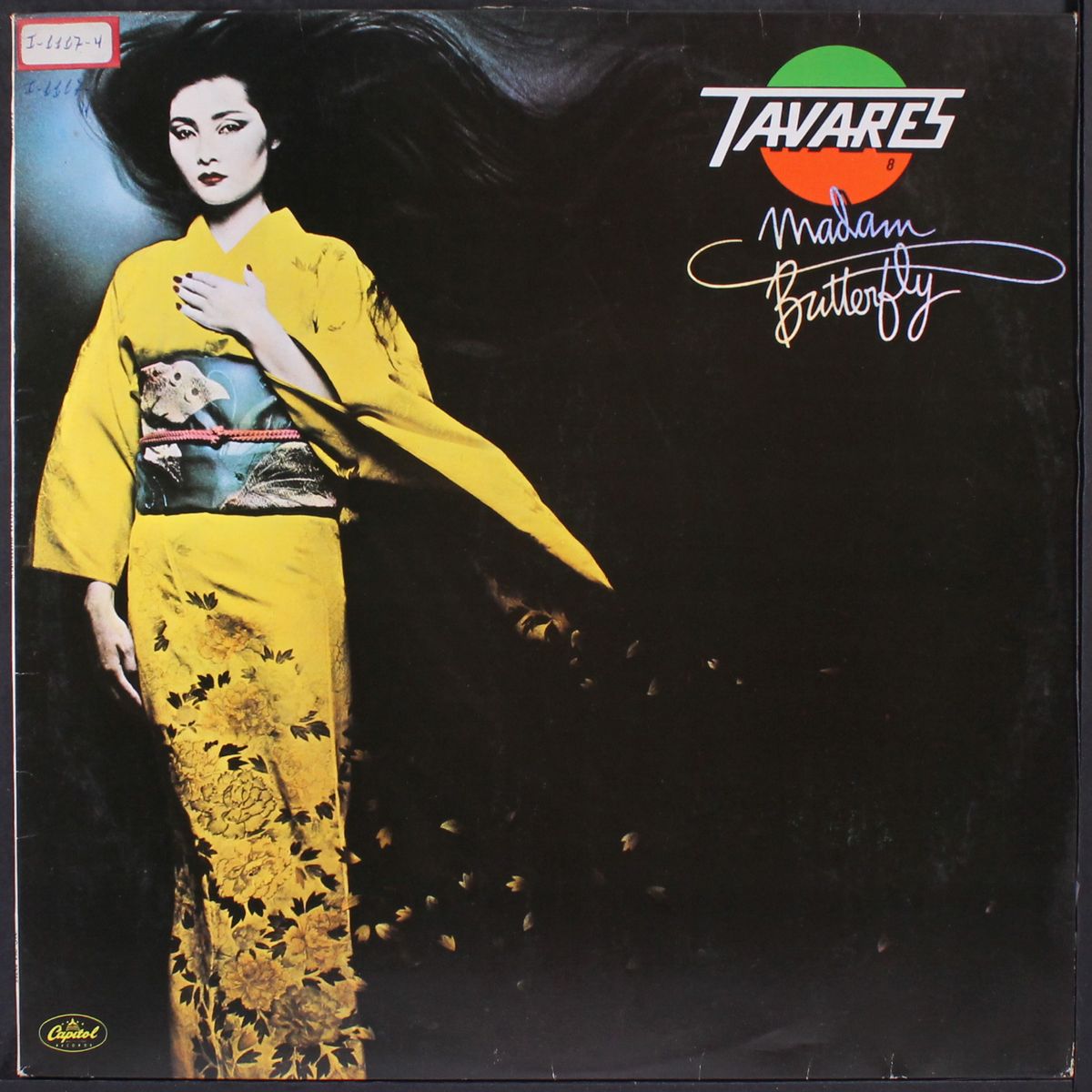 madame butterfly by TAVARES