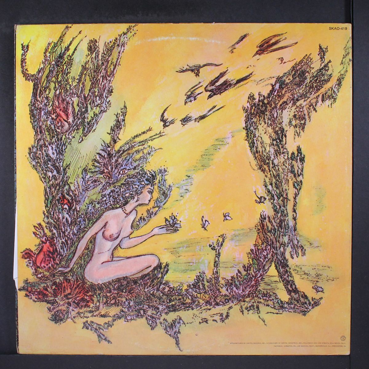 forest by FOREST