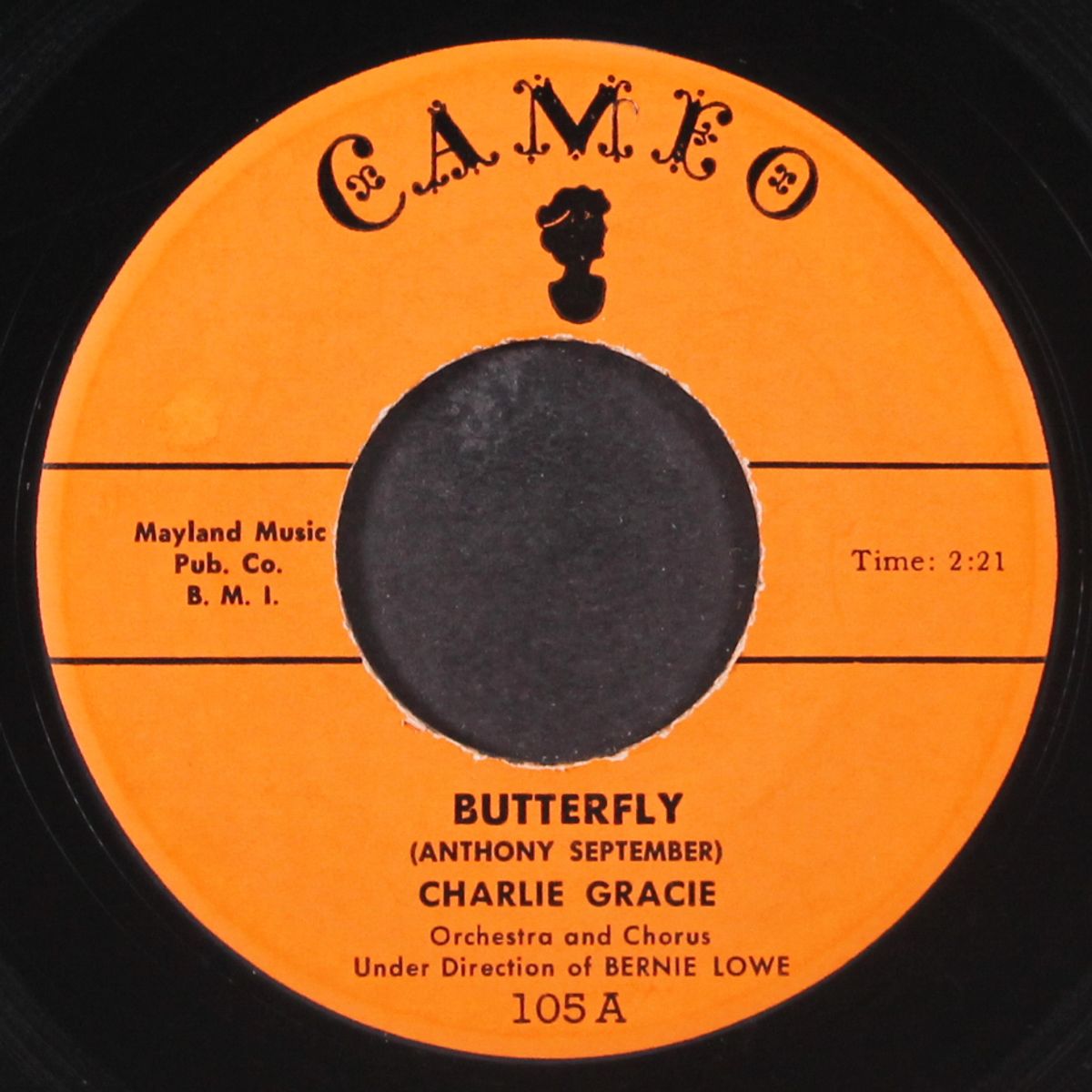 butterfly / ninety-nine ways by CHARLIE GRACIE