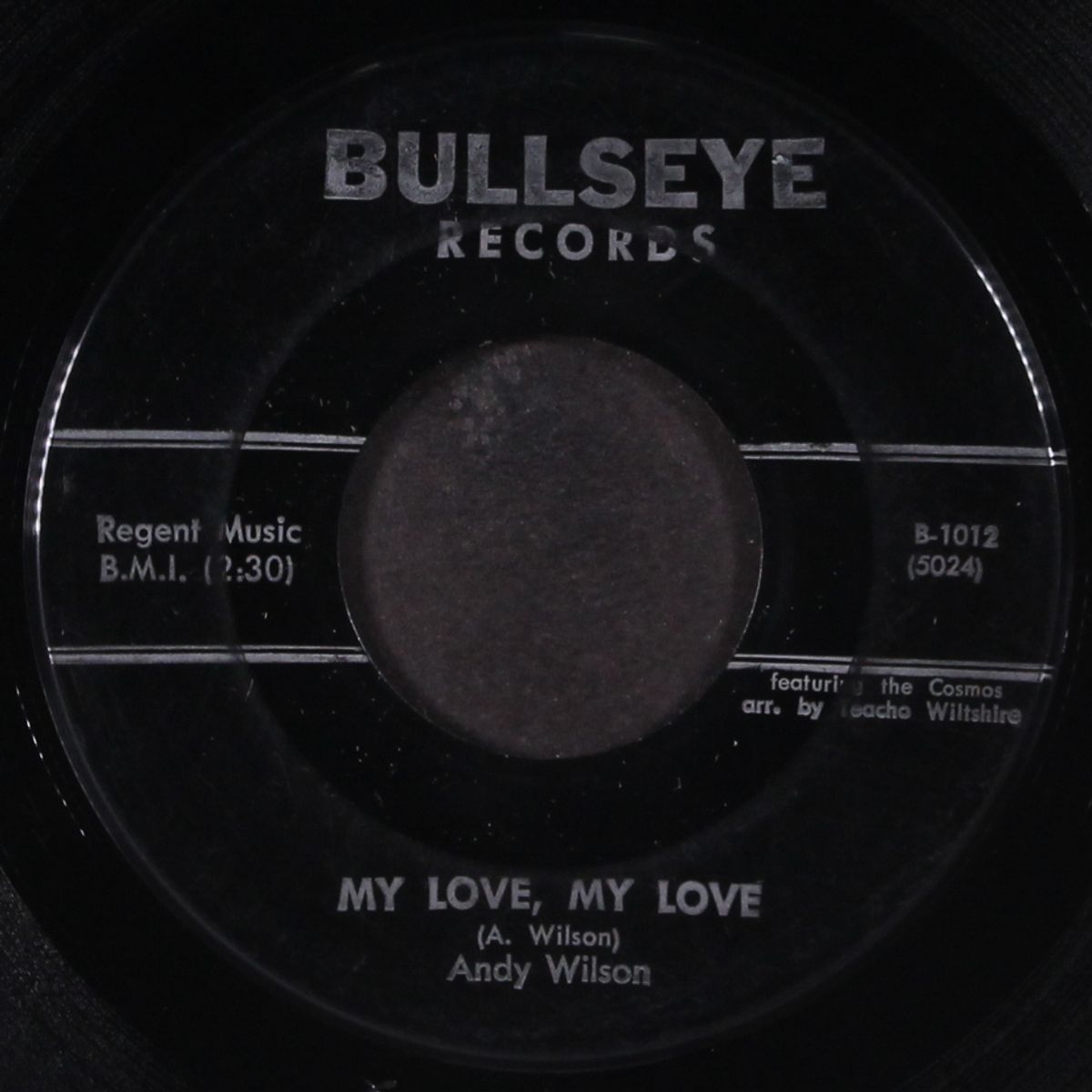 my love, my love / teenage martha by ANDY WILSON