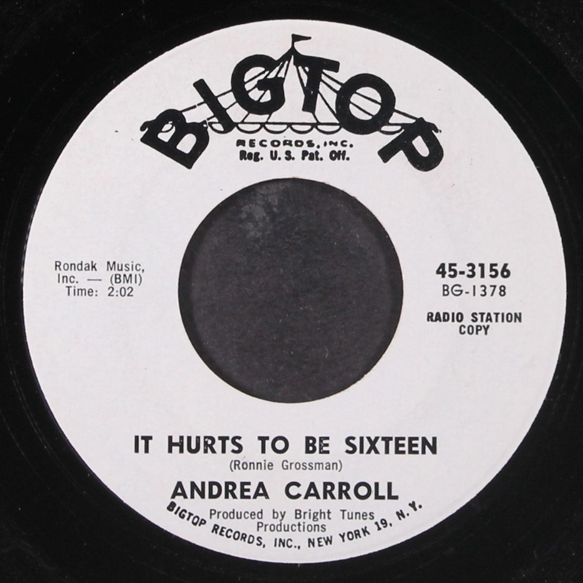 it hurts to be sixteen by ANDREA CARROLL
