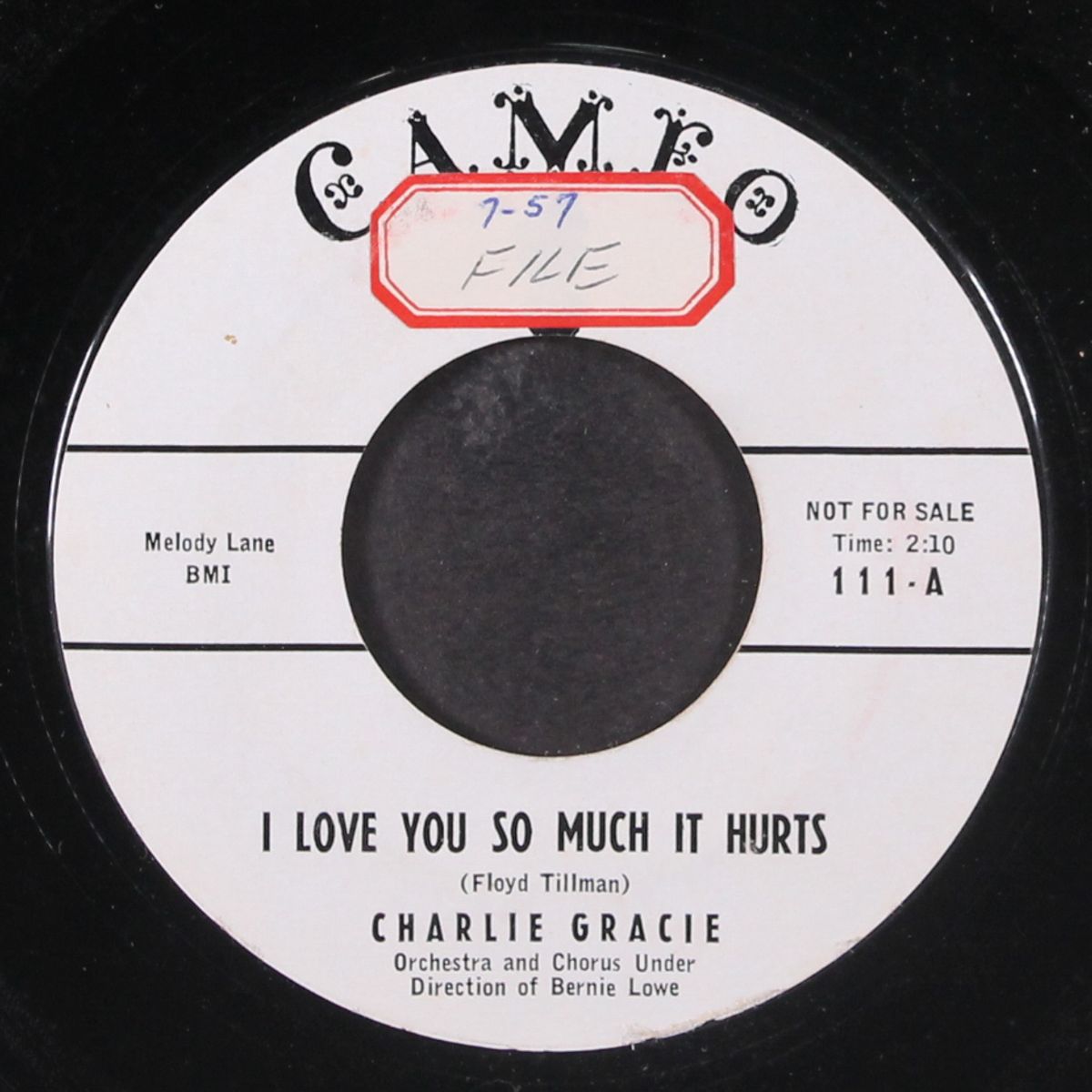 i love you so much it hurts by CHARLIE GRACIE