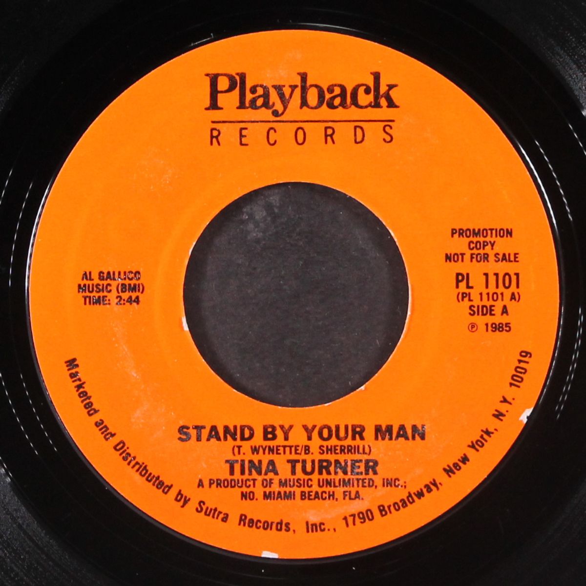 stand by your man by TINA TURNER