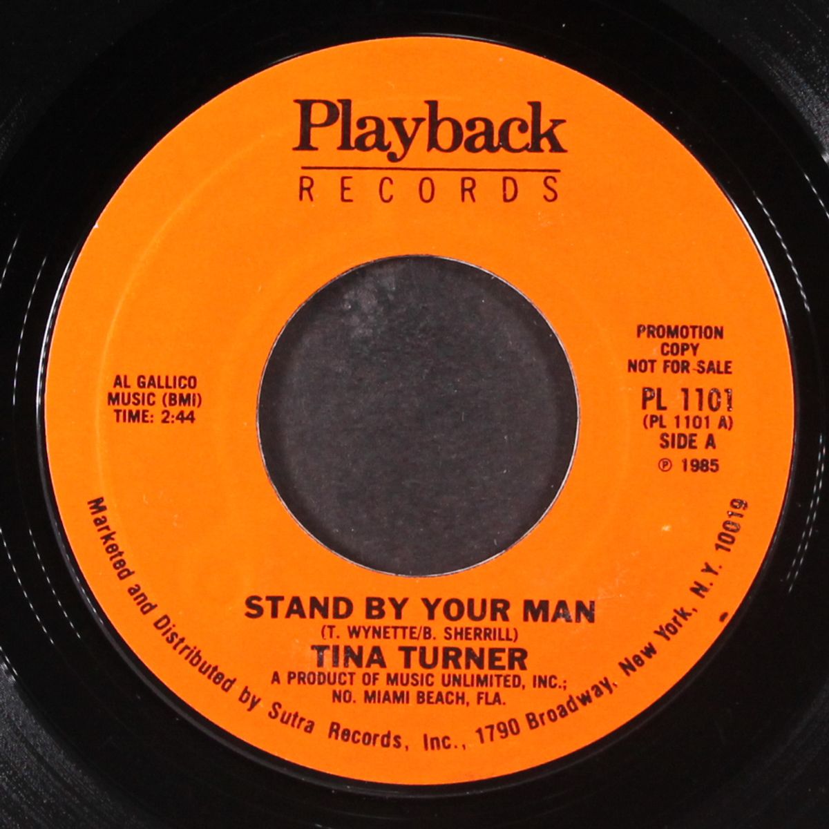 stand by your man by TINA TURNER