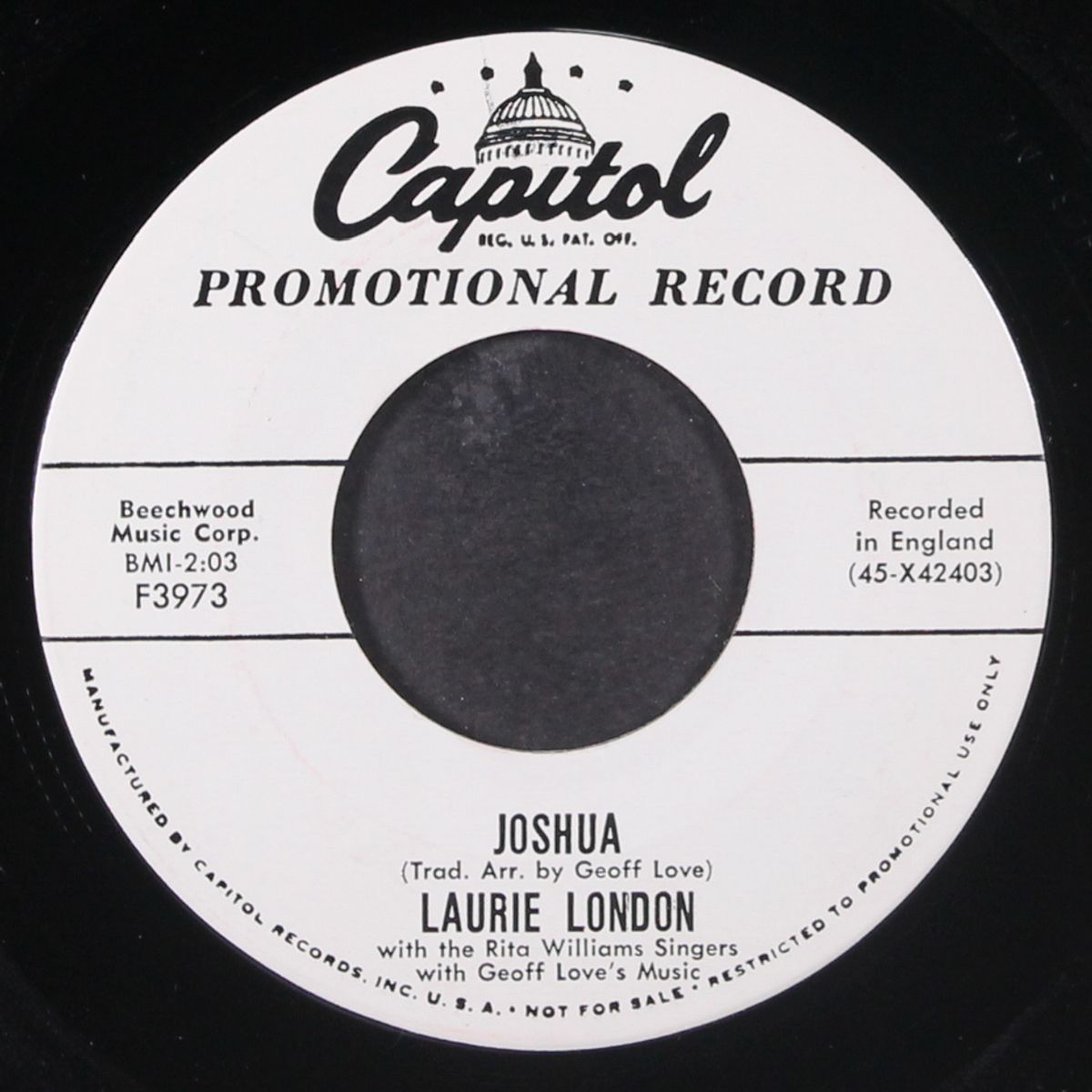 joshua by LAURIE LONDON