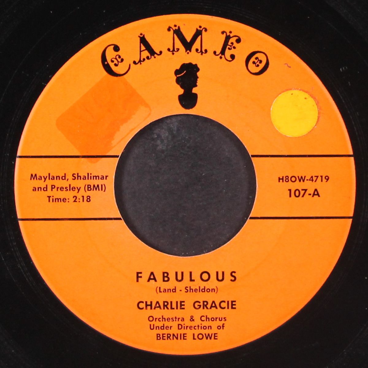 fabulous / just lookin' by CHARLIE GRACIE