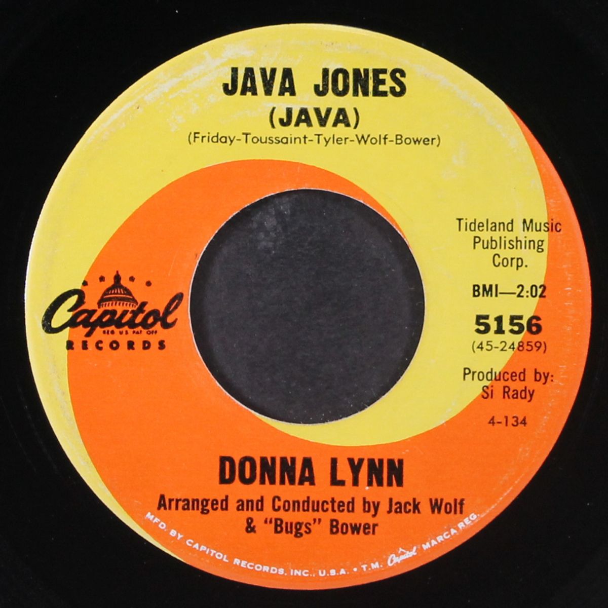 java jones / the things that i feel by DONNA LYNN
