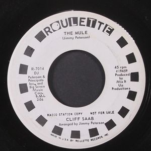 CLIFF SAAB
