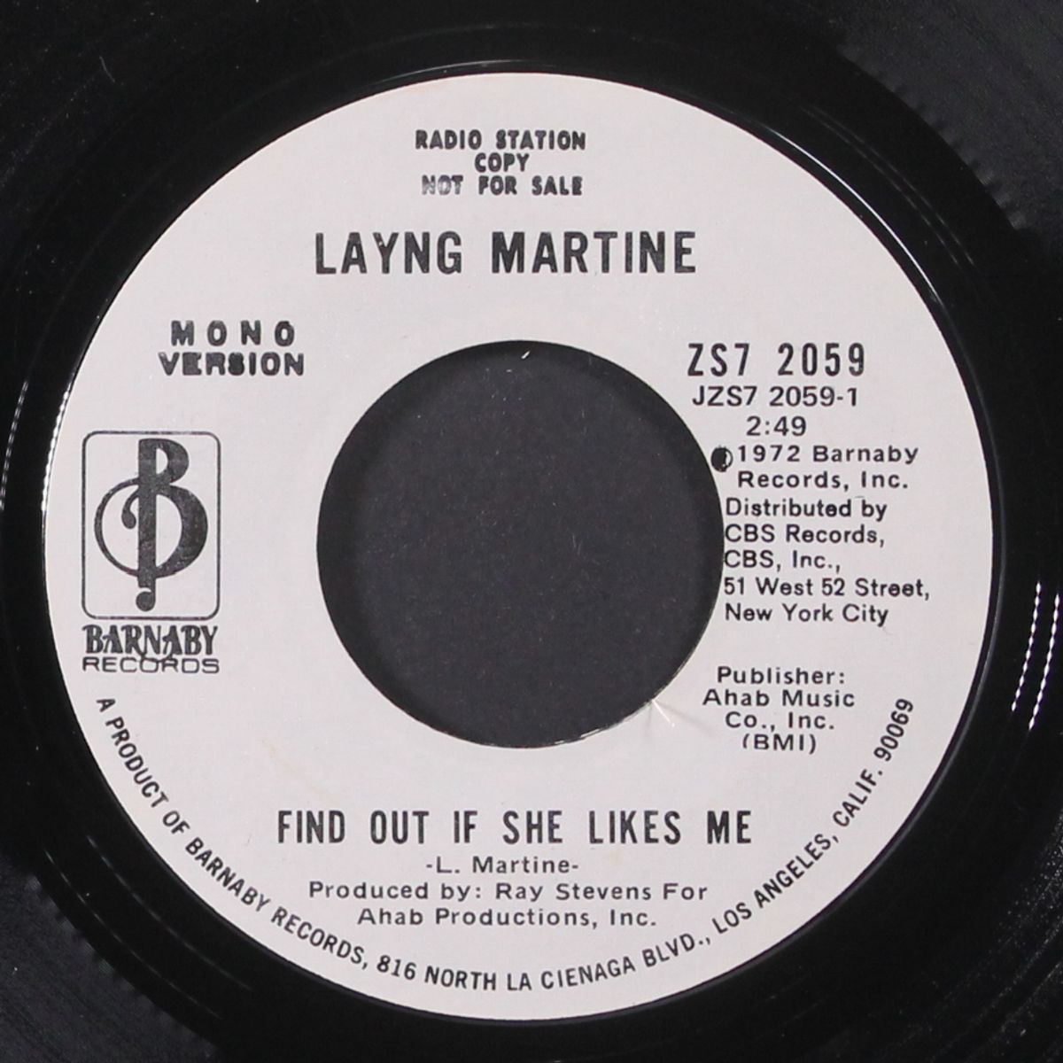 find out if she likes me / mono by LAYNG MARTINE
