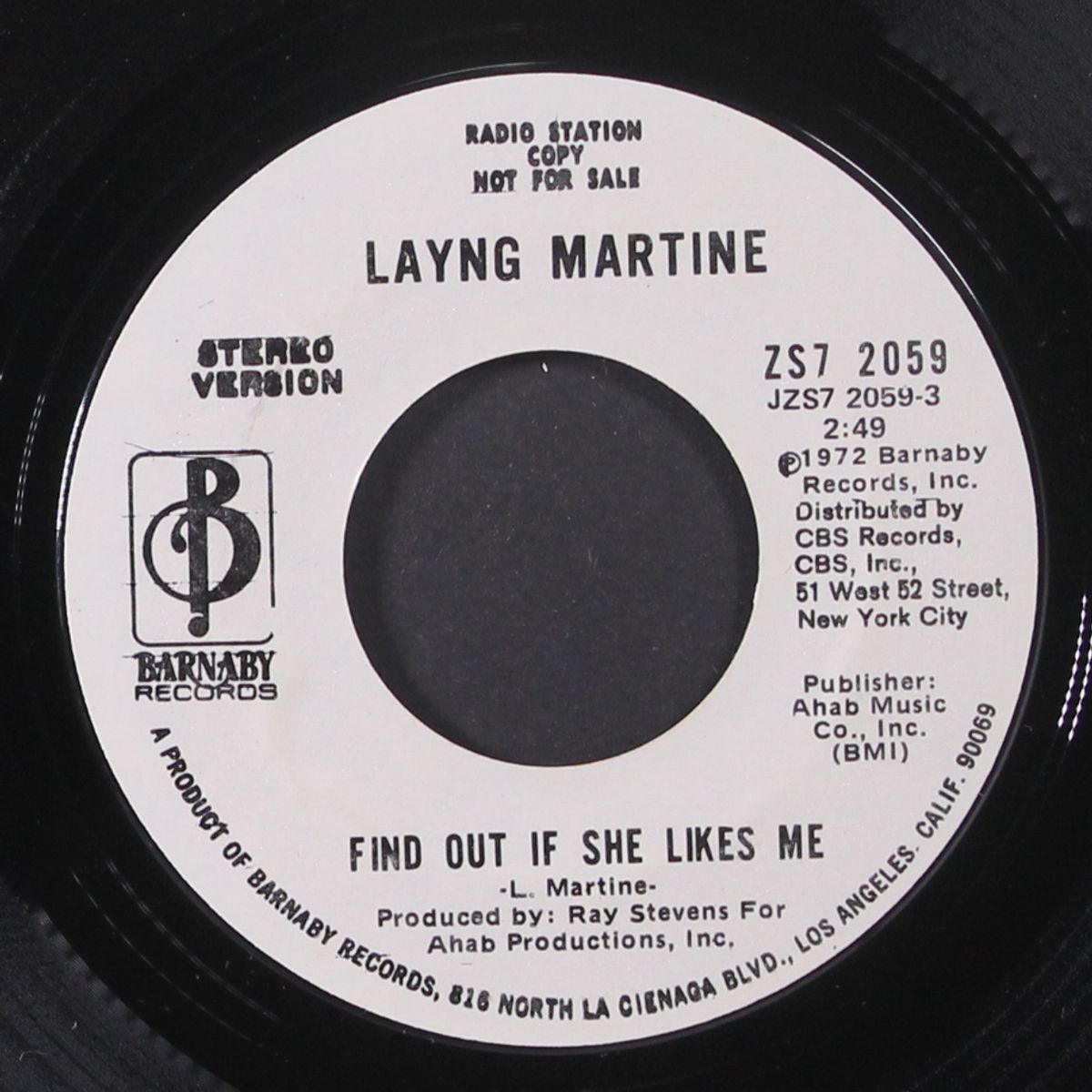 find out if she likes me / mono by LAYNG MARTINE