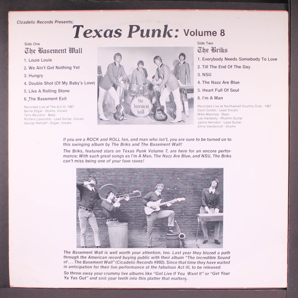 texas punk 1967, vol. 8 by BRIKS / BASEMENT WALL