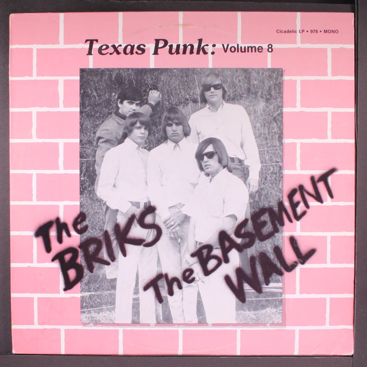 texas punk 1967, vol. 8 by BRIKS / BASEMENT WALL