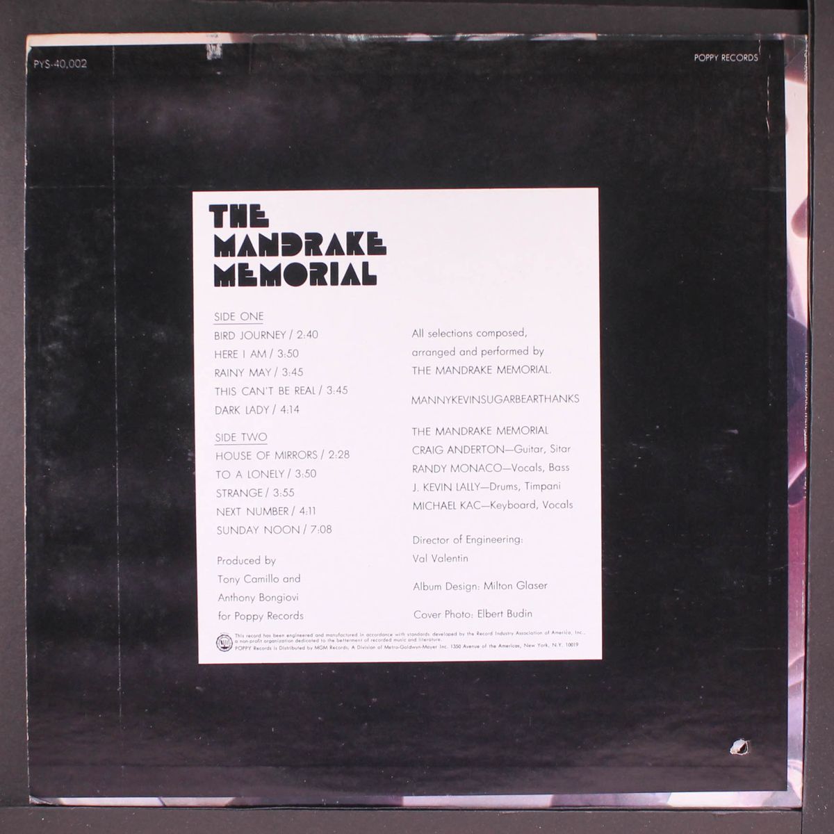 the mandrake memorial by MANDRAKE MEMORIAL