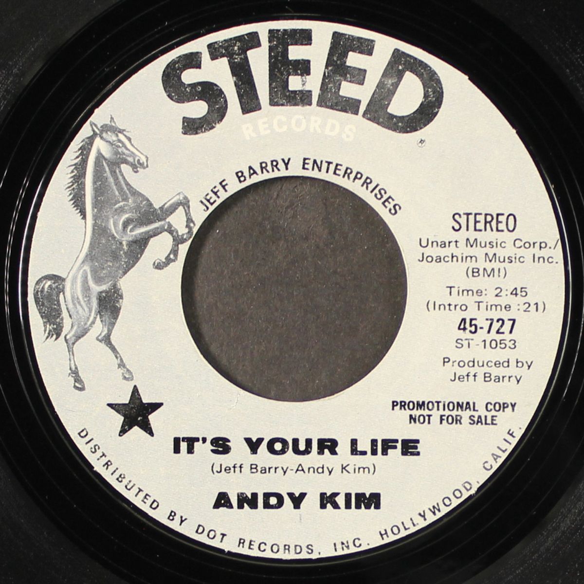 it's your life / to be continued by ANDY KIM