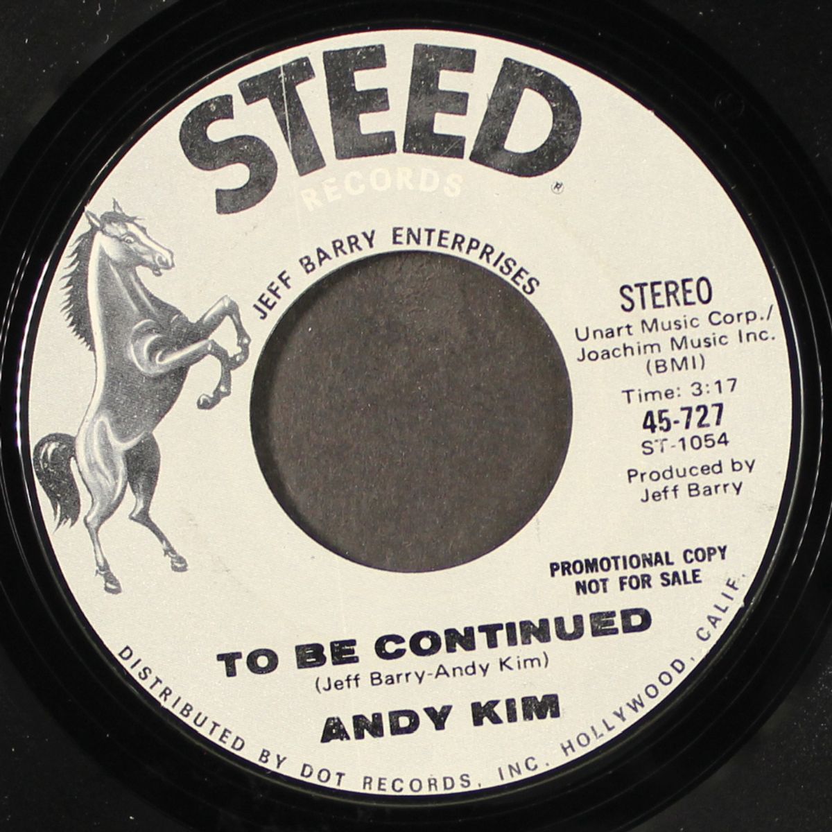 it's your life / to be continued by ANDY KIM