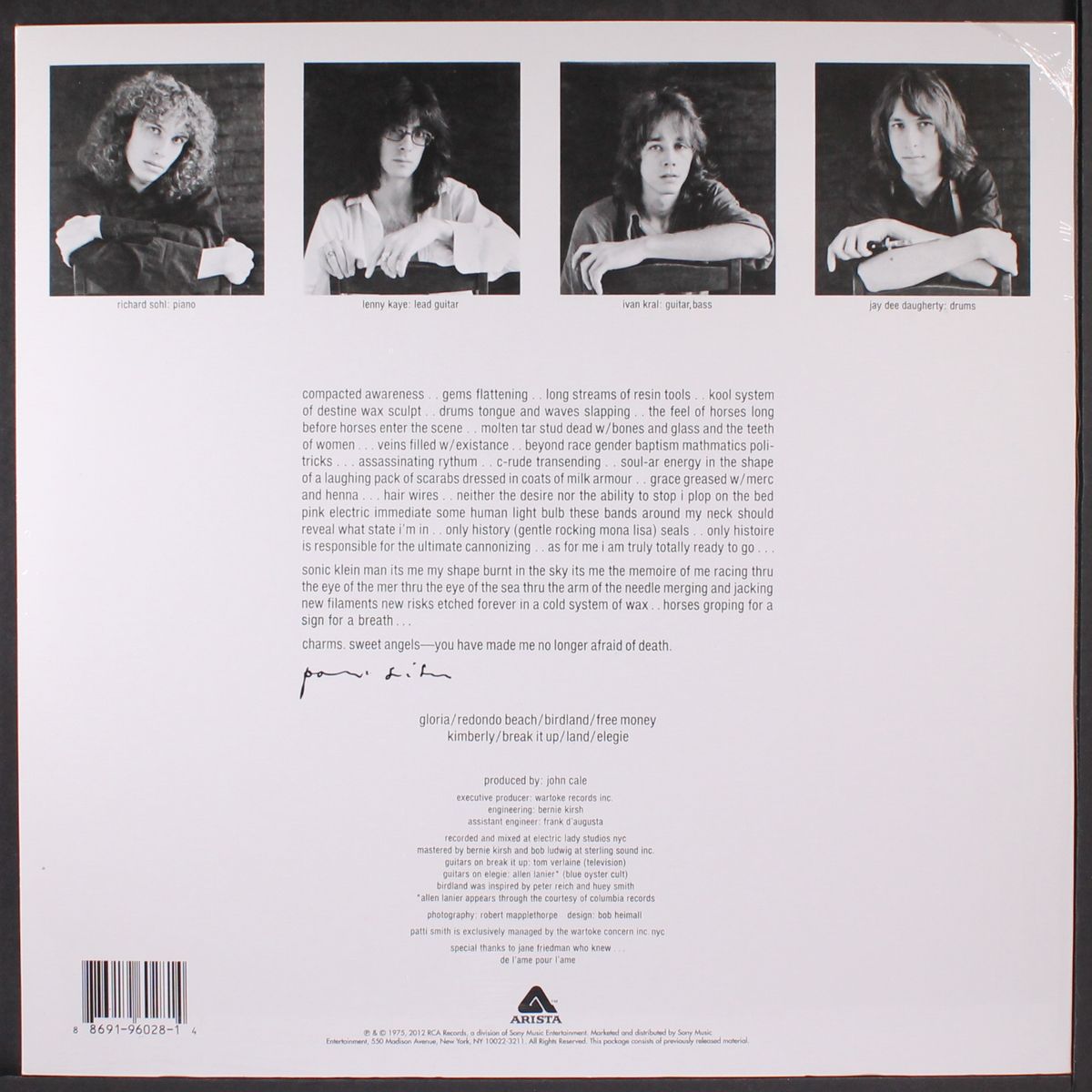 horses by PATTI SMITH