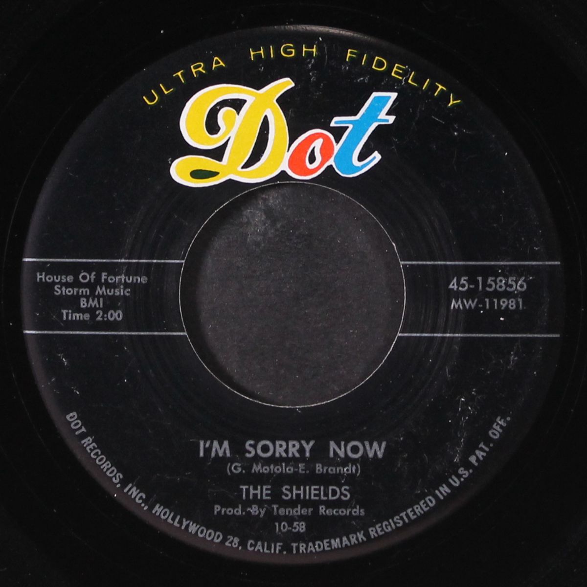 nature boy / i'm sorry now by SHIELDS
