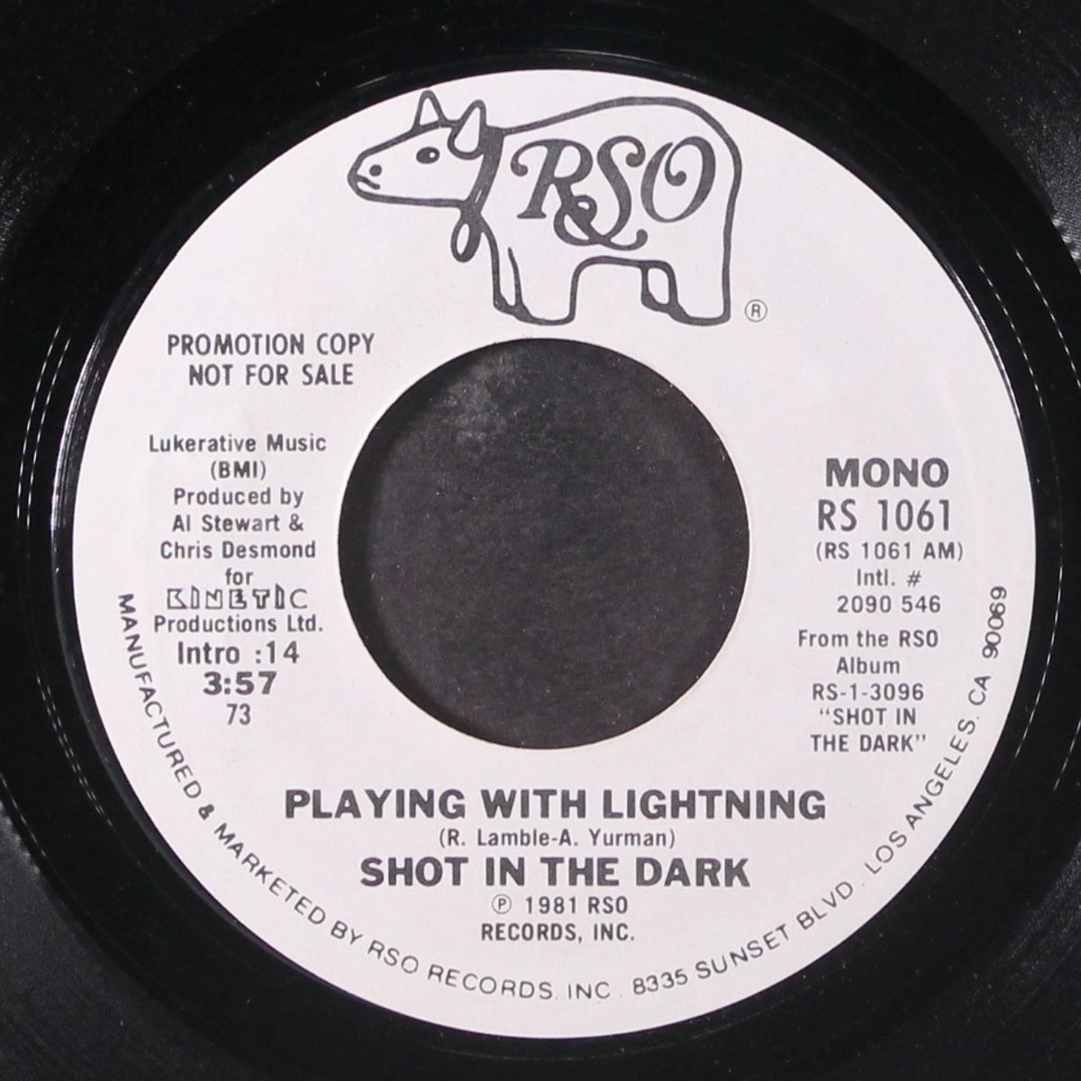 playing with lightning by SHOT IN THE DARK