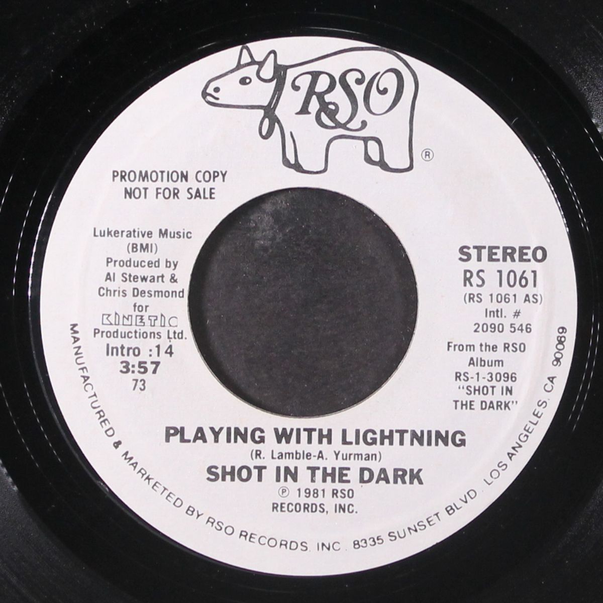 playing with lightning by SHOT IN THE DARK