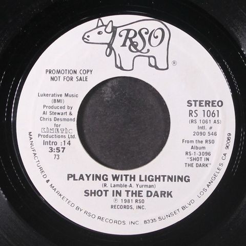 SHOT IN THE DARK